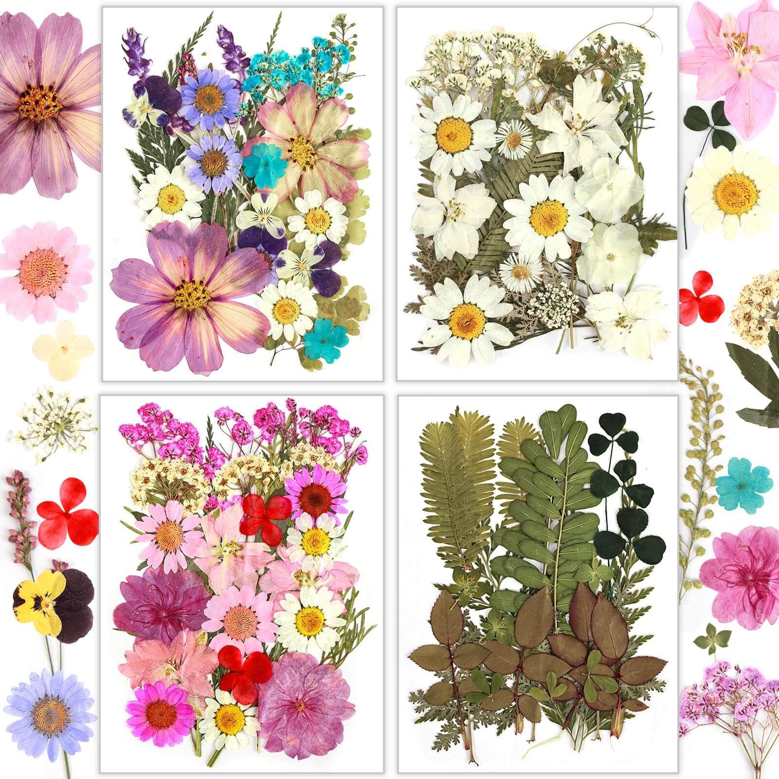 Resiners® 100Pcs Dried Pressed Flowers - Image 7