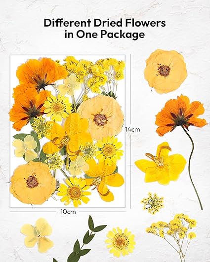 Resiners® 200Pcs Dried Pressed Flowers - Image 3
