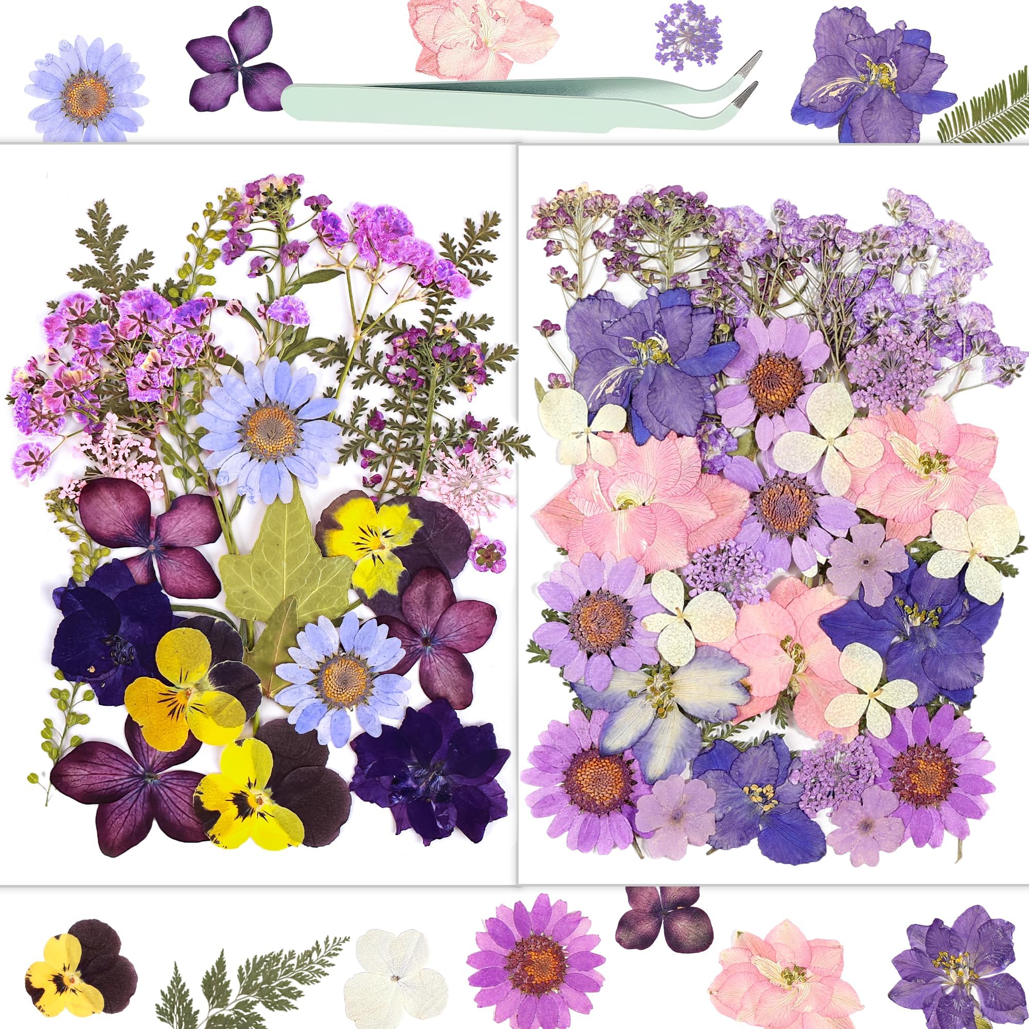 Resiners® 58Pcs Dried Pressed Flowers - Image 3