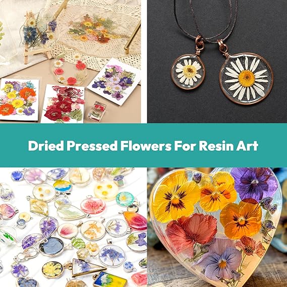 Resiners® 58Pcs Dried Pressed Flowers - Image 6