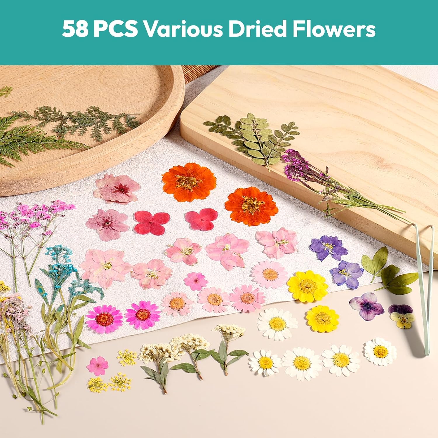 Resiners® 58Pcs Dried Pressed Flowers - Image 7